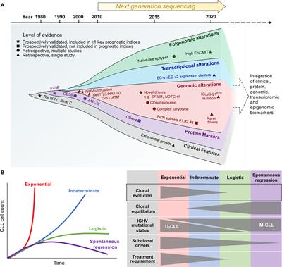 Clonal Evolution of High-Risk Chronic Lymphocytic Leukemia: A Contemporary Perspective